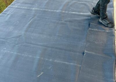 freedom home developments & 10