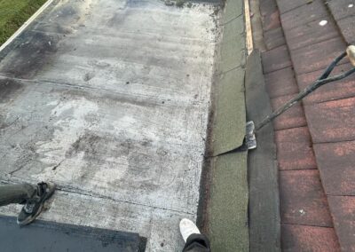 freedom home developments & 11