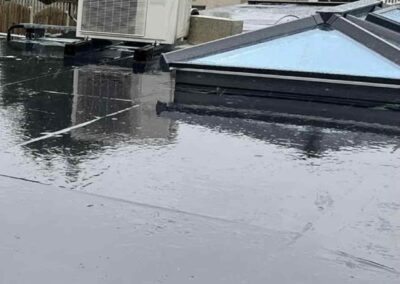 freedom home developments & 55