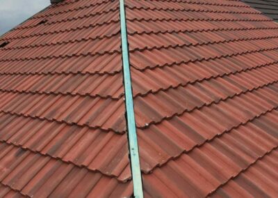 freedom home developments & 58