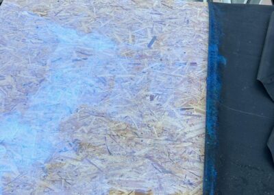 freedom home developments & 6