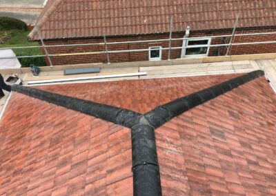 freedom home developments & 60