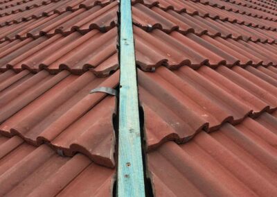 freedom home developments & 65