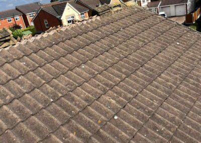 freedom home developments & 67